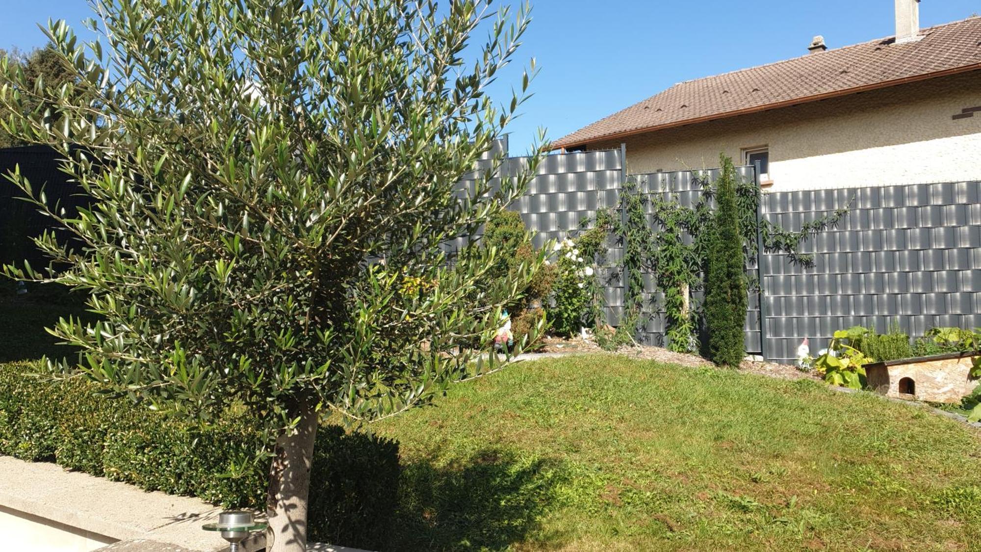Le Gite Du Fort Bitche Exteriér fotografie
